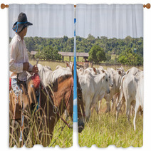 Fazenda Mato Grosso Gado Nelore, Farm Nelore Cattle In Brazil Window Curtains 56598481