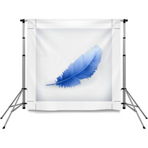 Feather Backdrops 43692014