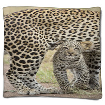 Female African Leopard Walking With Her Small Cub, Tanzania Blankets 57547471