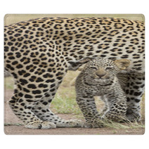 Female African Leopard Walking With Her Small Cub, Tanzania Rugs 57547471