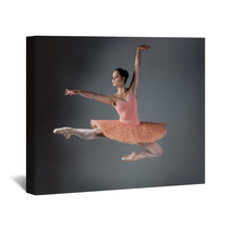 Female Ballet Dancer Wall Art 53801548