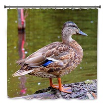 Female Duck Mallard Bath Decor 63367644