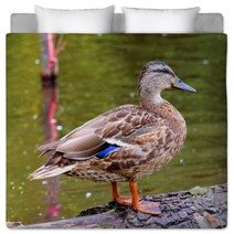 Female Duck Mallard Bedding 63367644