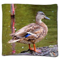 Female Duck Mallard Blankets 63367644