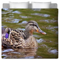 Female Duck Swimming Mallard Bedding 66167980