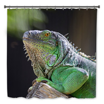Female Green Iguana Bath Decor 56098555