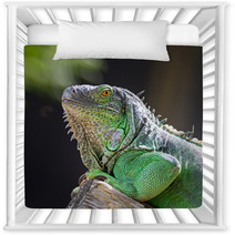 Female Green Iguana Nursery Decor 56098555