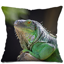 Female Green Iguana Pillows 56098555