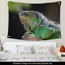 Female Green Iguana Wall Art 56098555