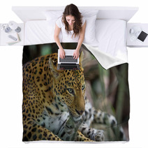 Female Jaguar Blankets 95339082