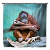 Female Orangutan Portrait Bath Decor 90122211
