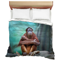 Female Orangutan Portrait Bedding 94086384