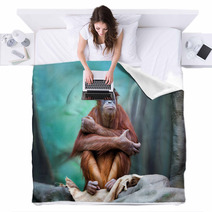 Female Orangutan Portrait Blankets 94086384