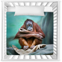 Female Orangutan Portrait Nursery Decor 90122211