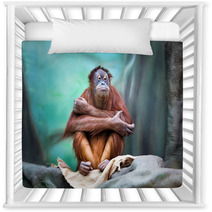 Female Orangutan Portrait Nursery Decor 94086384