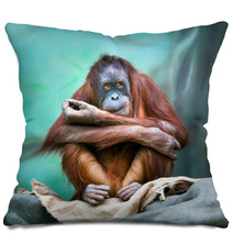 Female Orangutan Portrait Pillows 90122211