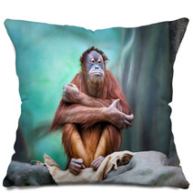 Female Orangutan Portrait Pillows 94086384