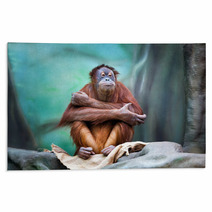 Female Orangutan Portrait Rugs 94086384