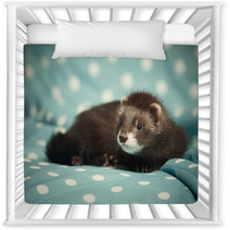 Ferret Baby Female Nursery Decor 93036520