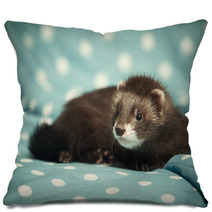 Ferret Baby Female Pillows 93036520