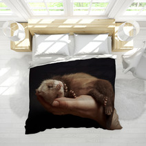 Ferret Baby In Hand Bedding 93577388