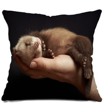 Ferret Baby In Hand Pillows 93577388