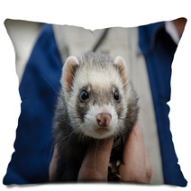 Ferret Being Held In A Mans Hand Pillows 98286031