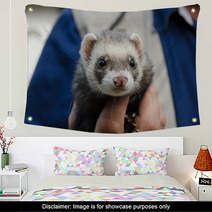 Ferret Being Held In A Mans Hand Wall Art 98286031