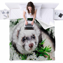 Ferret In The Flowers  Blankets 100072301