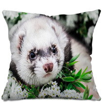 Ferret In The Flowers  Pillows 100072301