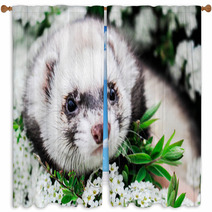 Ferret In The Flowers  Window Curtains 100072301