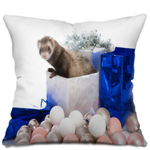 Ferret  Isolated Pillows 76872836