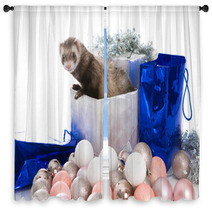 Ferret  Isolated Window Curtains 76872836