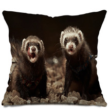 Ferret Sisters Pillows 88692095