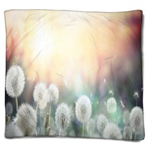Field Of Dandelion In Sunset Bokeh And Allergy Blankets 79562753