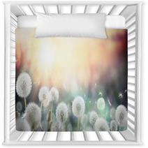Field Of Dandelion In Sunset Bokeh And Allergy Nursery Decor 79562753