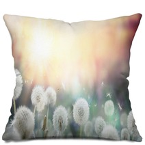 Field Of Dandelion In Sunset Bokeh And Allergy Pillows 79562753