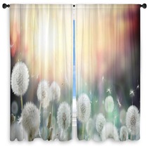 Field Of Dandelion In Sunset Bokeh And Allergy Window Curtains 79562753