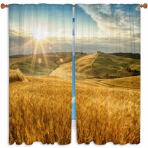 Fields Of Gold Window Curtains 67467611