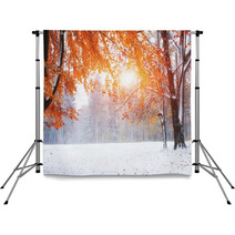 First Days Of Winter Backdrops 72162992