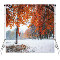 First Days Of Winter Backdrops 72163270