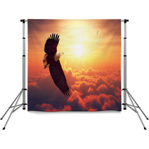 Fish Eagle Flying Above Clouds Backdrops 96294084