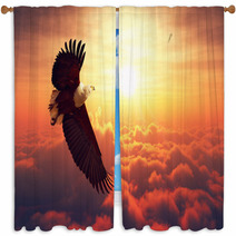 Fish Eagle Flying Above Clouds Window Curtains 96294084