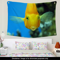 Fish Parrot Wall Art 71441679