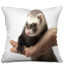 Fitch little on the hand Pillows 87303256