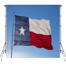 Flag Of The State Of Texas Backdrops 51050433