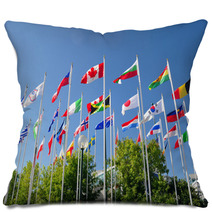 Flags Of The World Pillows 33869871