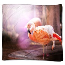 Flamingo Blankets 50330504