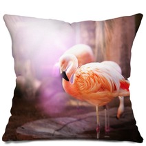 Flamingo Pillows 50330504