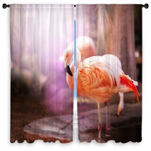 Flamingo Window Curtains 50330504